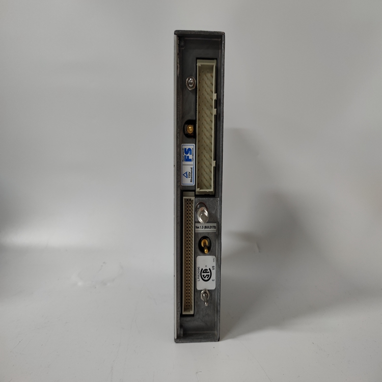 TRICONEX 3201(3).jpg