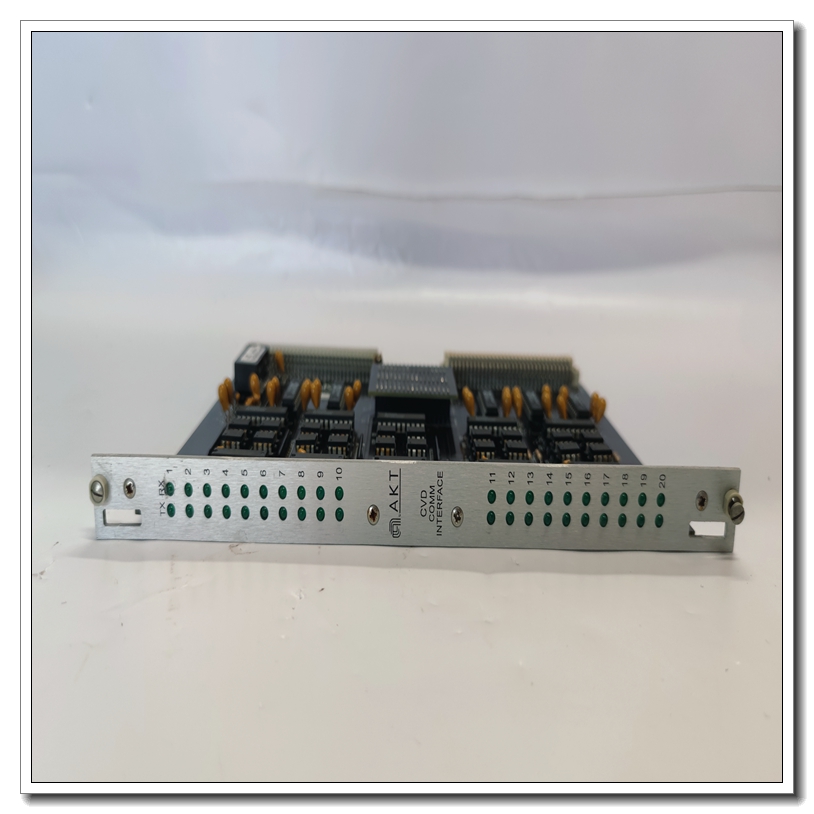 AMAT 0190-49518 模塊