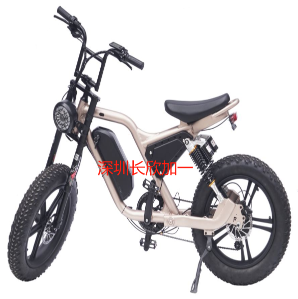 全地形2x2兩輪E-B60成人電動(dòng)山地車