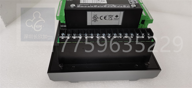 369-HI-R-M-0-E-0-許泗燦20210127_170357 (4).jpg