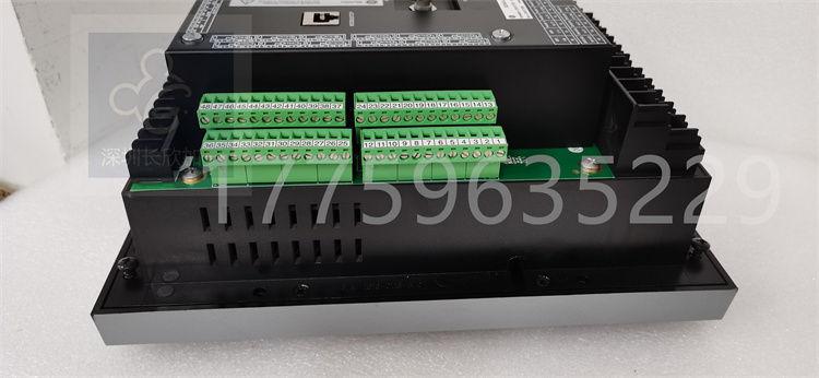 369-HI-R-M-0-E-0-許泗燦20210127_170357 (5).jpg