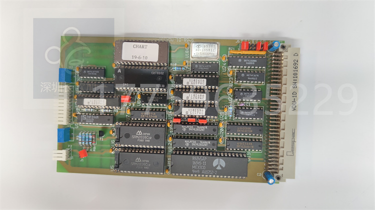 GESVDU-1D-8946.葉送惠.20230801_173450 (2).jpg