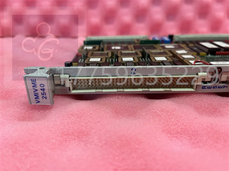 VMIVME-2540.袁翠竹.2023.5.30 (5).jpg