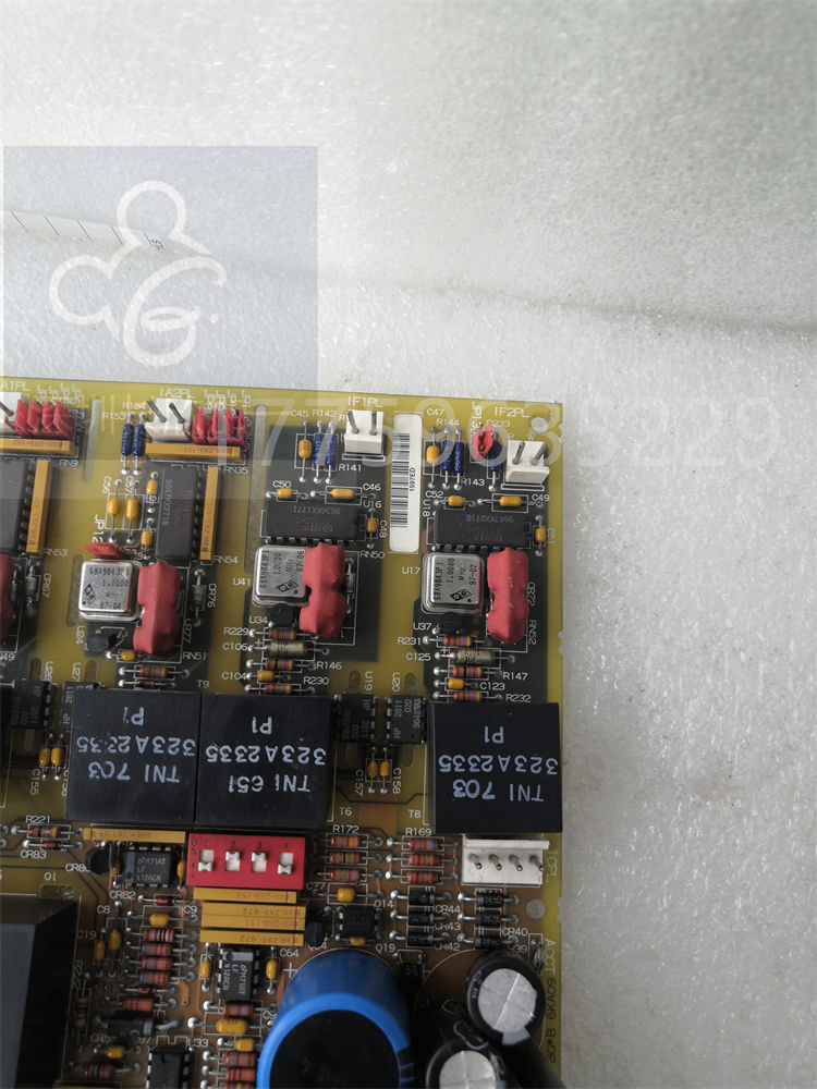 DS200DCFBG1B.劉錦玲.20211030_100007 (3).jpg