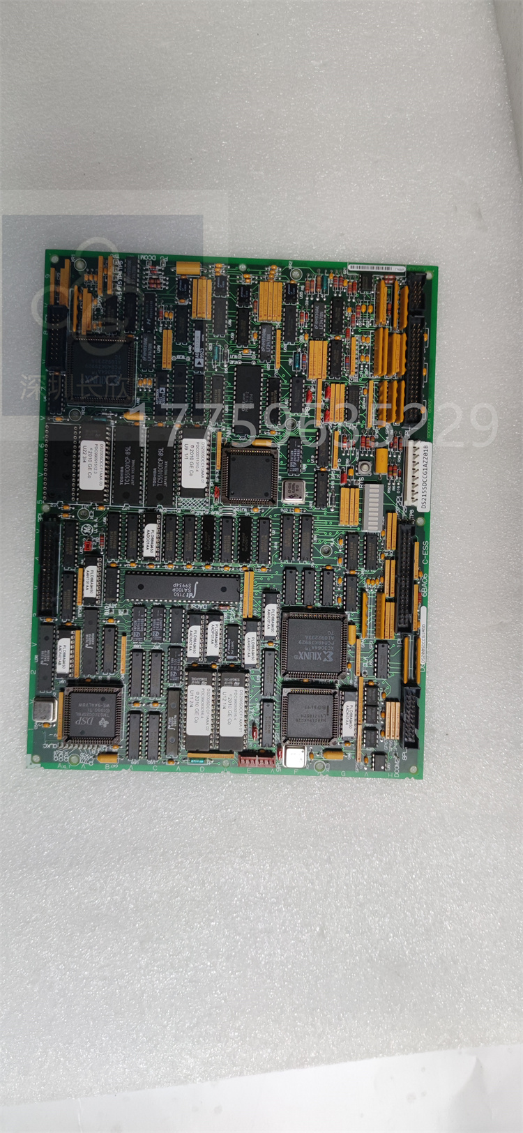 DS200SDCCG1AGD.葉送惠.20231120_171653 (1).jpg