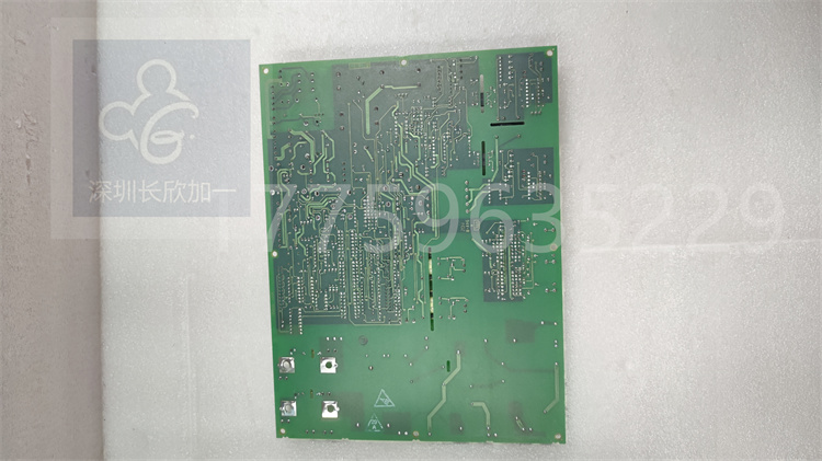 DS200SDCIG2AHB.葉送惠.20221115_165255 (3).jpg