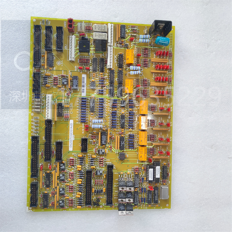 DS200TCQCG1BGF.肖仁娟.20240410_161923 (4).jpg