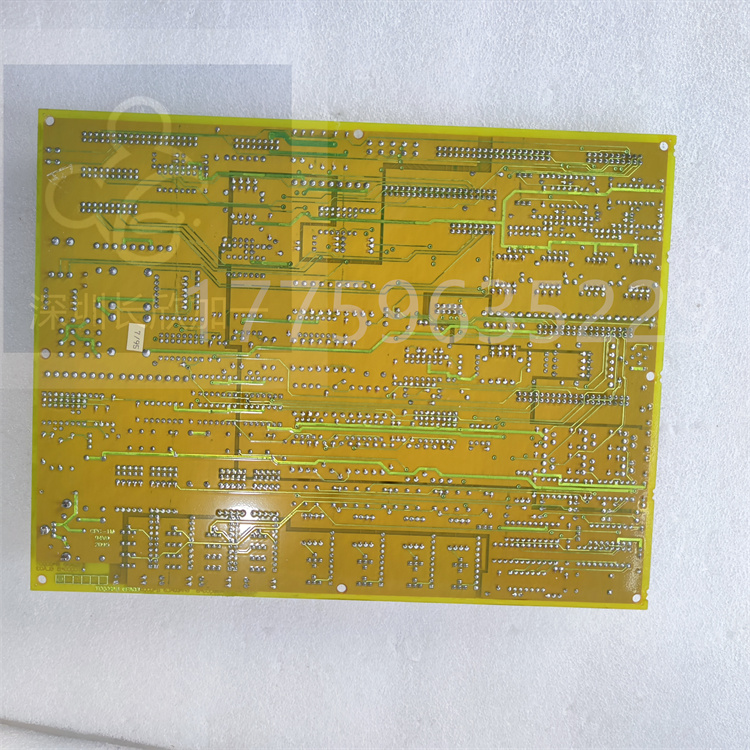 DS200TCQCG1BGF.肖仁娟.20240410_161923 (2).jpg