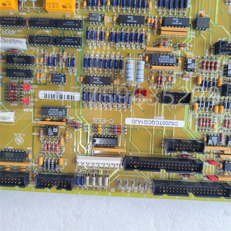 DS200TCQCG1BGF.肖仁娟.20240410_161923 (3).jpg