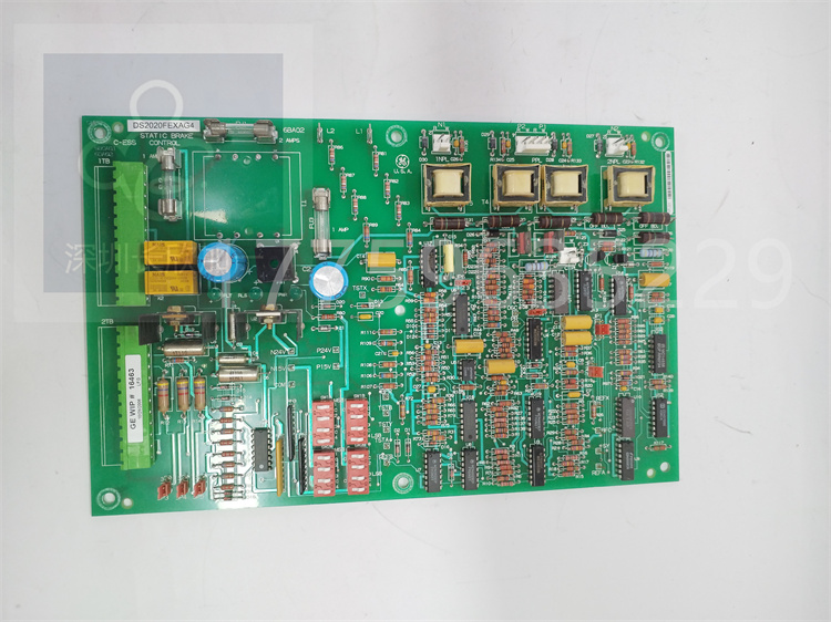 DS2020FEXAG4.肖仁娟.20230427 (1).jpg