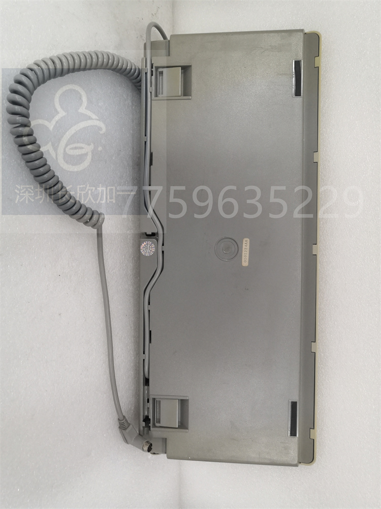 FC-9801-KB6.20201231.周憶.141411 (4).jpg