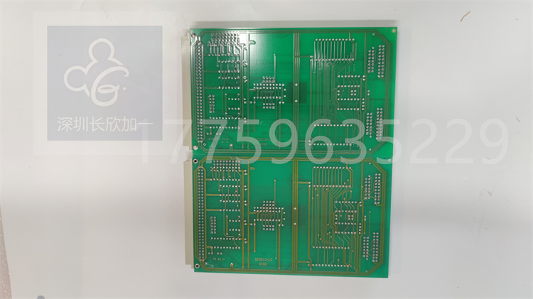 GESSIO-1E.葉送惠.20230801_173518 (3).jpg