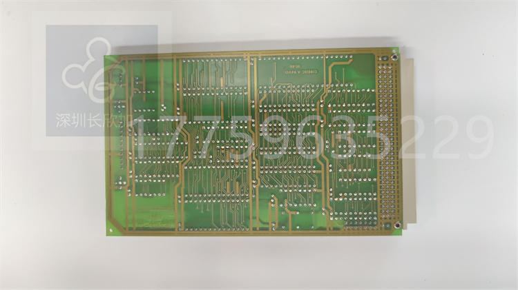 GESVDU-1D-8946.葉送惠.20230801_173450 (3).jpg