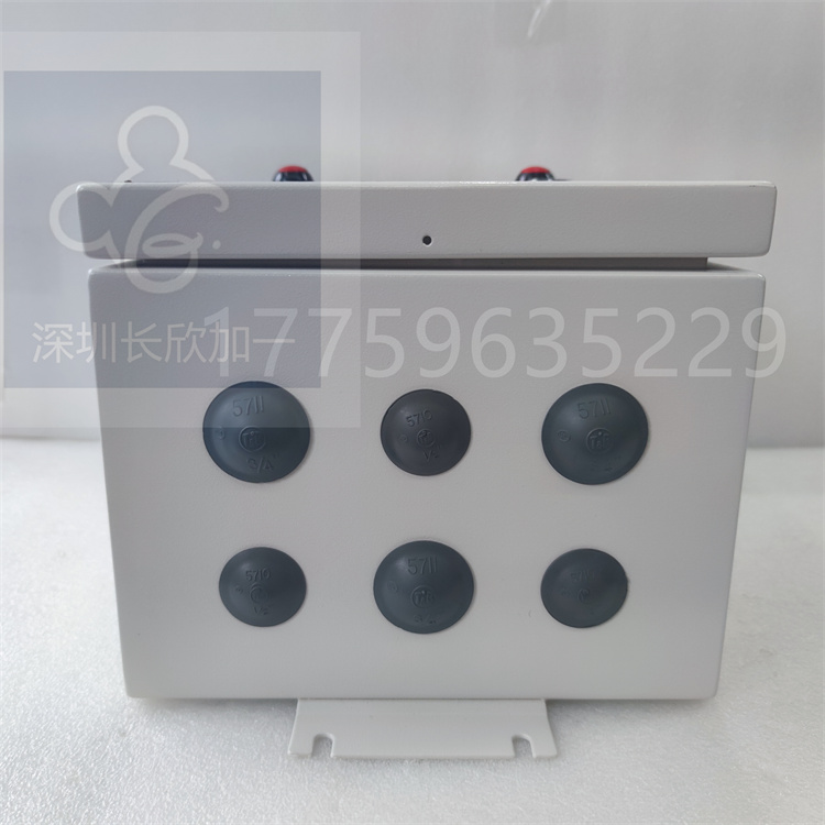 H20CI-1.張云良.20240522_141630 (4).jpg