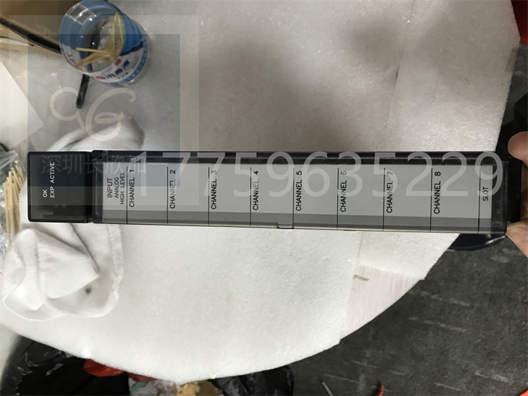 IC697ALG230.張興建.2021021908445525 (3).jpg