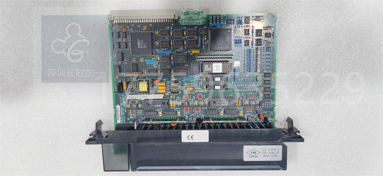 IC697ALG320.何姍姍.20240229_174544 (3).jpg