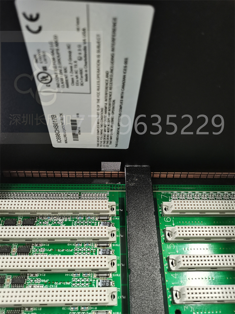 IC698CHS017B.葉送惠.20220513_154833 (15).jpg